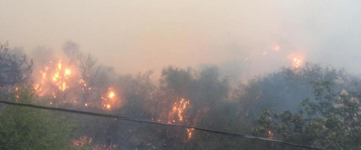 3 وفيات و إصابة آخرين بحرائق في غابات الجزائر
