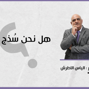 هل نحن سذج ؟؟؟