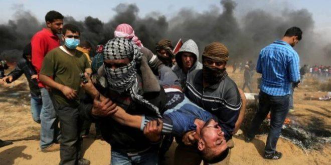 5 إصابات برصاص الاحتلال وسط قطاع غزة