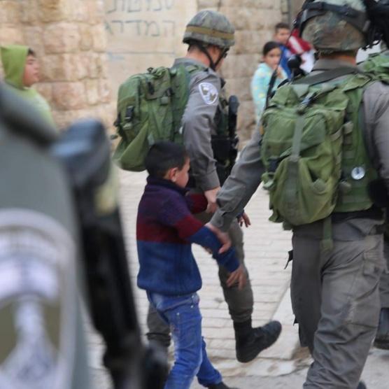 الاحتلال يعتقل فتى من الخليل