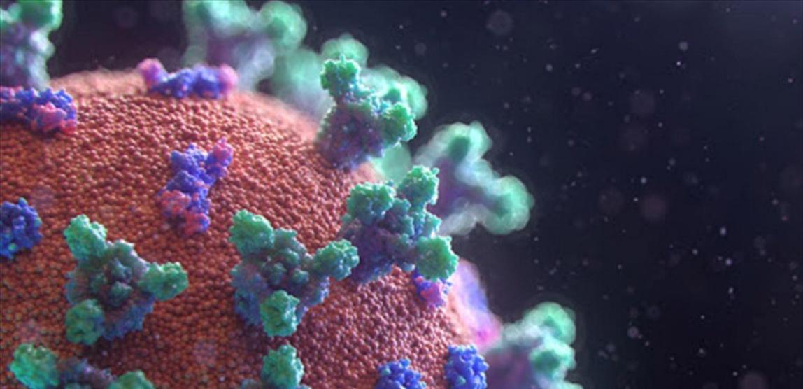 علماء أميركيون يعلنون تطوير لقاح محتمل لفيروس كورونا