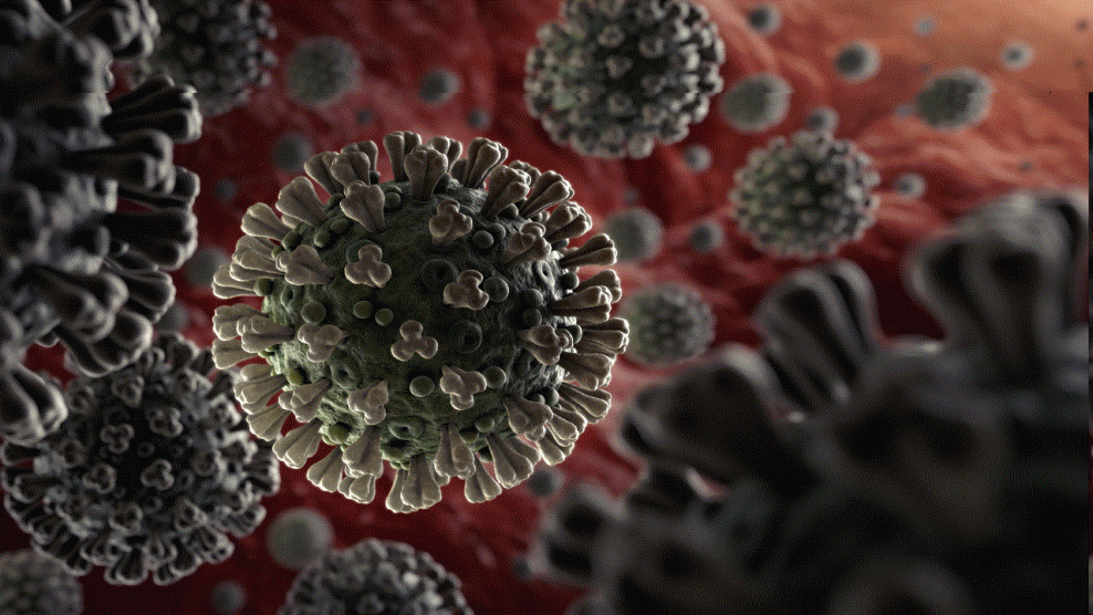 فيروس كورونا المستجد لا يزال يخفي أسراراً بعد 4 أشهر من ظهوره