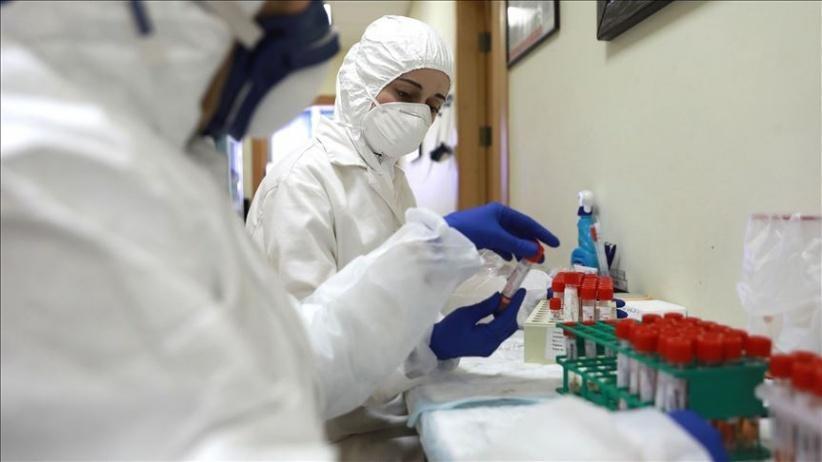 الصحة: تسجيل 64 أصابة جديدة بفيروس كورونا 