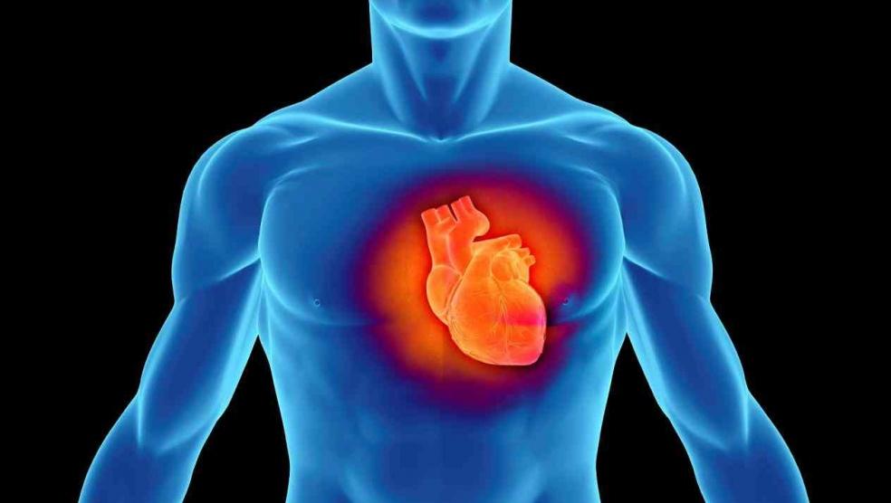 دراسة: فيروس كورونا يصيب القلب أيضًا