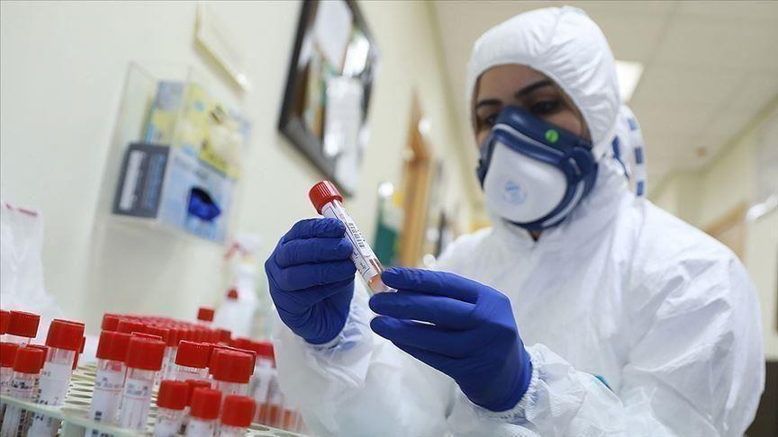 وزيرة الصحة: أكثر من نصف المصابين بفيروس كورونا تماثلوا للشفاء