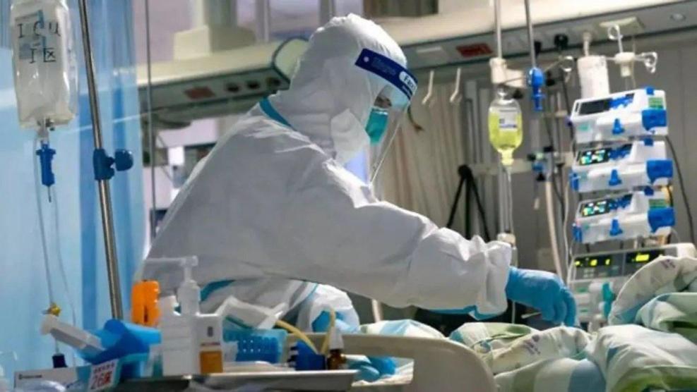 وزيرة الصحة: نسب الشفاء من فيروس كورونا في 8 محافظات إضافة لقطاع غزة تجاوزت الـ50%