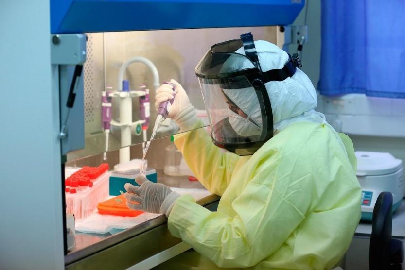 4 وفيات و576 إصابة جديدة بفيروس كورونا خلال 24 ساعة