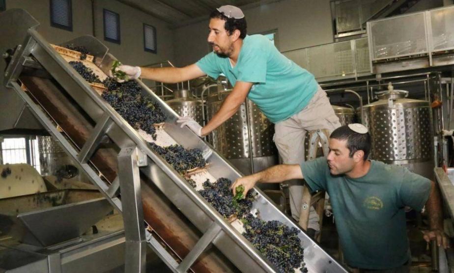 الإمارات توقع اتفاقًا لاستيراد نبيذ المستوطنات
