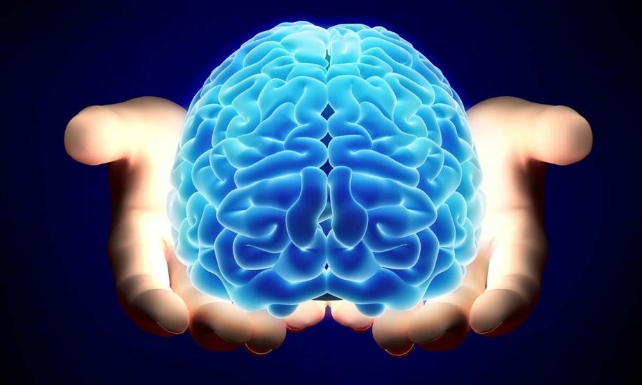 5 خرافات عن الدماغ دحضها العلماء
