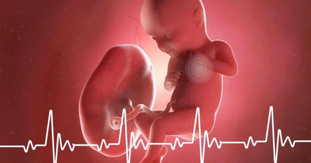 ماذا يعني عدم سماع دقات قلب الجنين؟