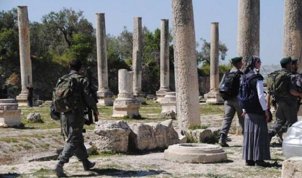 مستوطنون يقتحمون الموقع الأثري في بلدة سبسطية شمال نابلس