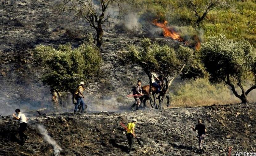 مستوطنون يحرقون 50 شجرة زيتون وينصبون منزلين متنقلين في الشيوخ شمال الخليل