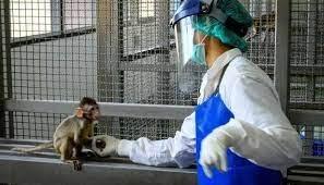 المكسيك تسجل أول إصابة بجدري القرود