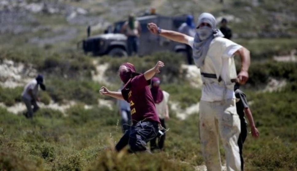 هيئة مقاومة الجدار والاستيطان: 594 اعتداء نفذها الاحتلال والمستوطنون خلال تموز