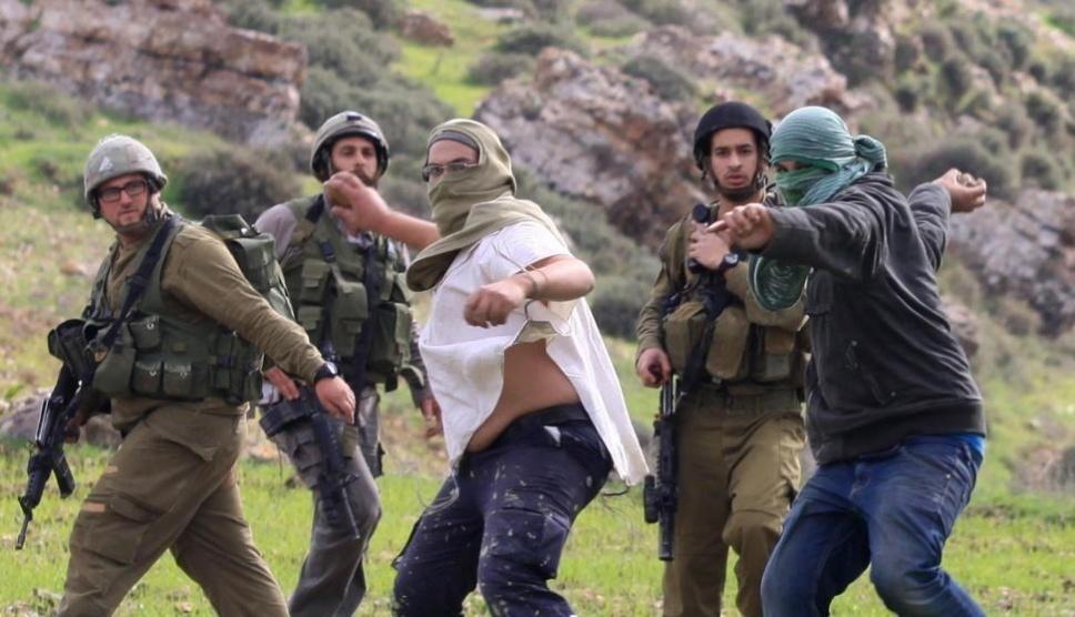 مستوطنون يطاردون رعاة الماشية في الأغوار الشمالية