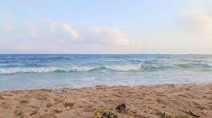 مصادر عبرية: خطة بناء الممر المائي في غزة تسير قدما