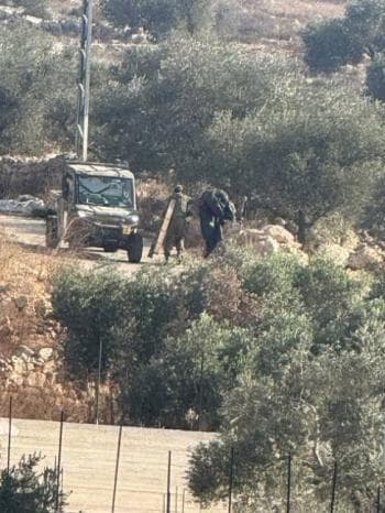 جنود الاحتلال يطردون مزارعين ويستولون على ثمار الزيتون في اللبن الشرقية