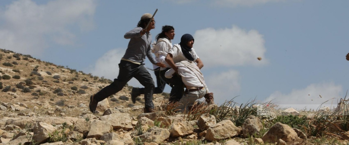 إصابتان باعتداء مستعمرين واعتقال 7 مواطنين في مسافر يطا