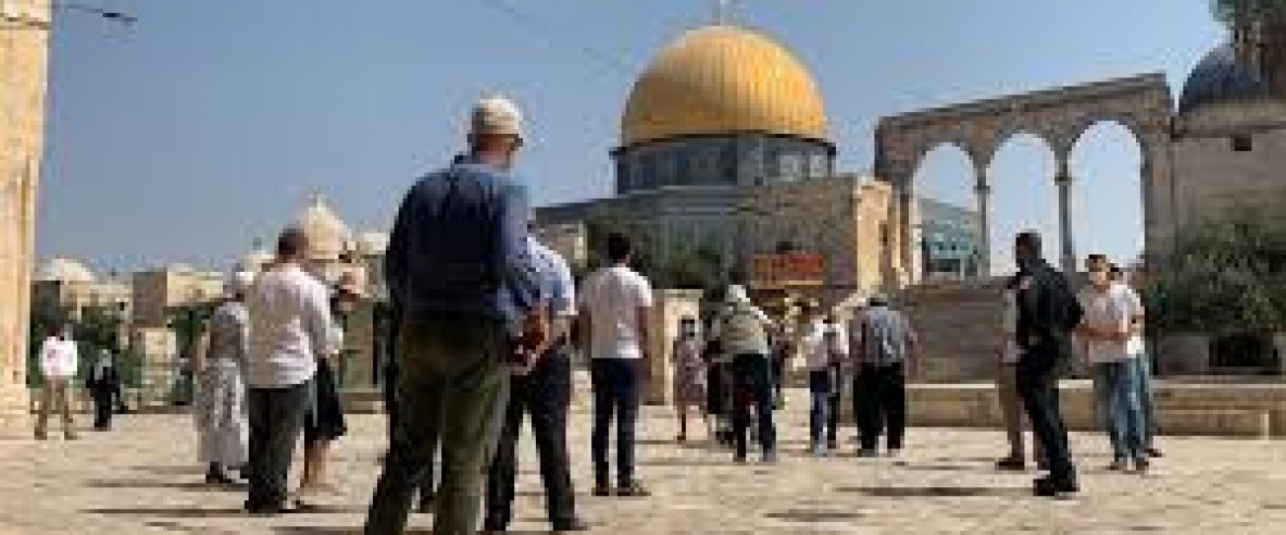 مستعمرون يقتحمون المسجد الأقصى