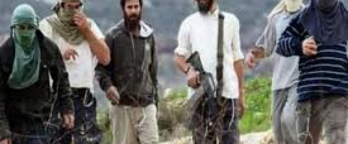 مستعمرون يهاجمون تجمعا بدويا في مخماس شمال القدس ويعتدون على المواطنين والممتلكات  