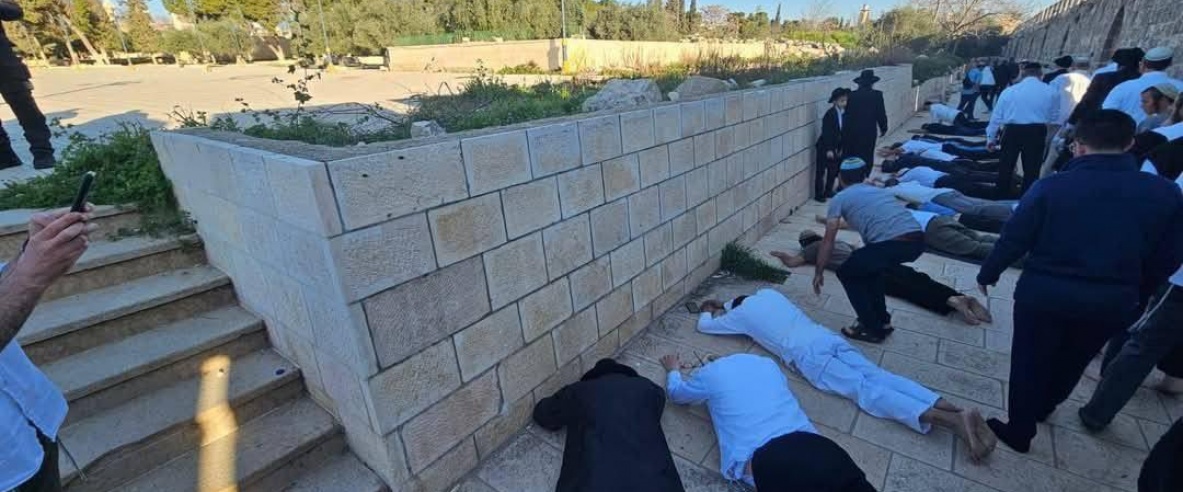 مستعمرون يقتحمون الأقصى ويؤدون السجود الملحمي