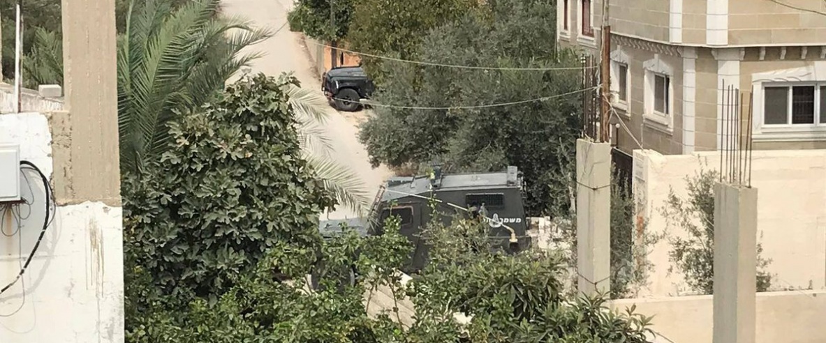 الاحتلال يداهم منتزه في ضاحية شويكة شمال طولكرم ويستولي على حيوانات برية