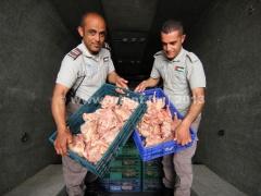 الضابطة الجمركية تضبط 3 أطنان دجاج فاسد في بيت لحم