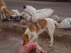 المحافظ حمايل يلتقي تيسير خالد لدفع عمليات توثيق اضرار الجدار