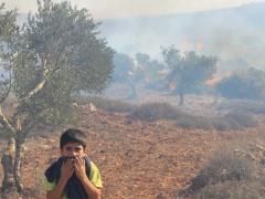 فجر اليوم : مستوطنون يضرمون النار بمركبتين ويخطون شعارات غرب نابلس