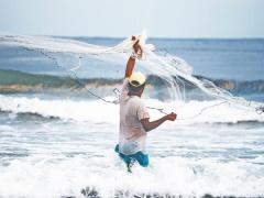 الاسماك تغزو أسواق غزة بعد انتهاء الحرب