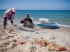 الاسماك تغزو أسواق غزة بعد انتهاء الحرب