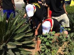 مخيم كشاف السريان يقيم يوم عمل تطوعي في مدينة بيت لحم - صور