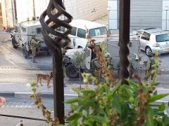 صباح اليوم : الاحتلال يغتال القواسمي وابو عيشة في الخليل