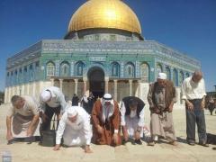 بالصور : وصول الفوج الاول من سكان غزة الى مدينة القدس