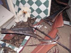 بالصور: اعتقال شاب من سنجل بعد تفجير باب منزله