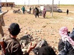 بالصور .. عناصر 