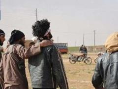 بالصور .. عناصر 