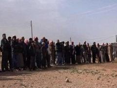 بالصور .. عناصر 