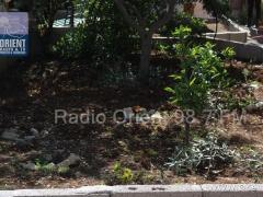 مؤسسة النيزك تطلق مشروع بادر في مدرسة بنات بيت ساحور الثانوية