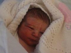 بالصور.. العثور على رضيع عمره يوم في نابلس والنمل يغطي جسده