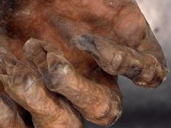 قصة أوتزي: جريمة القتل التي لم تتكشف ملابساتها إلا بعد 5000 عام!!