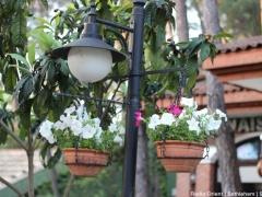 ثلاثة ايام في الجنة – 