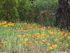 ثلاثة ايام في الجنة – 