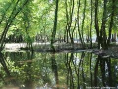 ثلاثة ايام في الجنة – 