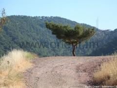 ثلاثة ايام في الجنة – 