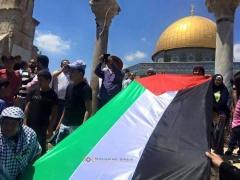 في الذكرى الـ67 للنكبة.. مسيرات في القدس والضفة وغزة