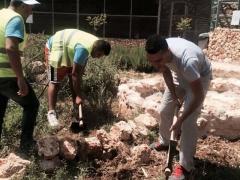 بالصور| نشاط تطوعي لشبيبة الطالبة المسيحية والمجلس الشبابي في بيت ساحور