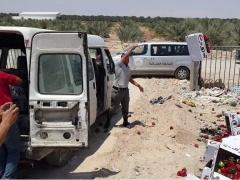 بالصور: اتلاف 714 كغم فلفل حلو مجهول المصدر في أريحا