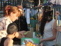 مهرجان الفقوس الساحوري 2015