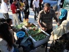 مهرجان الفقوس الساحوري 2015